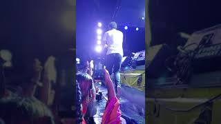 kestheband performs Nah let go LIVE part 2 at the El Dordado Stinging Nettles 2019 [upl. by Eward]