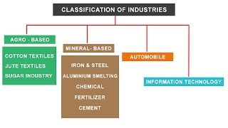 NCERT Class 10  Classification of Industries  Agro Mineral Automobile IT sector [upl. by Slin567]