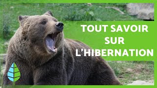 Questce que lHIBERNATION et quels sont les ANIMAUX qui HIBERNENT  🐻 🐸 [upl. by Nythsa328]