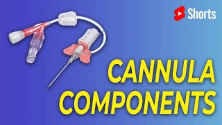 Components Of A Cannula [upl. by Naimed]