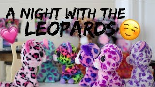 Beanie Boo Studios  A Night With The Leopards Leopard Family Ep2 [upl. by Nordna]