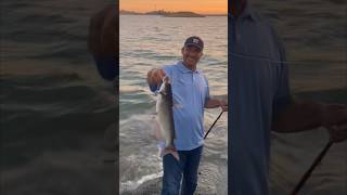 Catfishing Millerton Lake Ca [upl. by Annayk404]