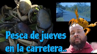 Vlog 127 Pesca de jueyes en la carretera [upl. by Wolfgram455]