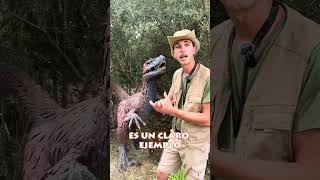 ¡Descubre cómo los Dinosaurios se Convirtieron en Aves shorts [upl. by Anailuig]