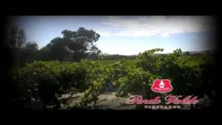 Pende Valde Mrs Mary McLaren Vale Shiraz Wine quotTHE MOTHER OF AUSTRALIAN WINEquot [upl. by Ayaros]