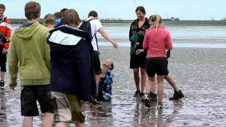 Wadlopen 2Havo WF 4 juni 2012  MPEG4 HDmp4 [upl. by Markos280]