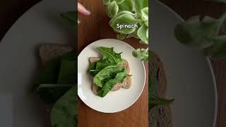 Egg Salad Sandwich Recipe  Easy and Healthy Breakfast 🥪👩🏻‍🍳 [upl. by Haya]