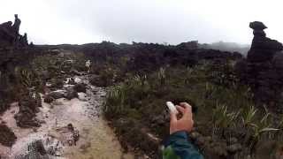 Mount Roraima  Valley of the Crystals [upl. by Ycrem]