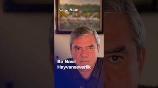 Bu Nasıl Hayvanseverlik  Yılmaz Özdil [upl. by Anita]