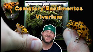 Oophaga Pumilio Cemetery Bastimentos Bioactive Vivarium IN DEPTH [upl. by Asiret241]