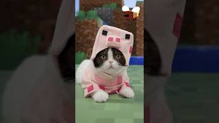 Minecraft Pigcat and Bees Is that port chop with honey [upl. by Nilrak]