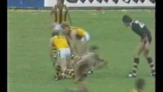 VFL R3 1983  StKilda v Hawthorn [upl. by Hogen]