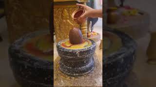 🙏🌺 OM Namah shivaya 🌺🙏 Subscribe now 👍shorts trending  Archana jamalpur 👍🌺🙏 [upl. by Tannie]