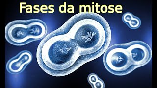 Aula Especial sobre mitose [upl. by Ewart333]