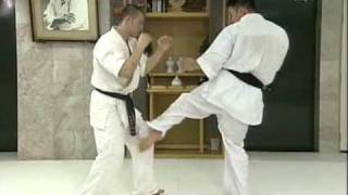 Kyokushin Kumite Image Training Part 2 [upl. by Remoh]