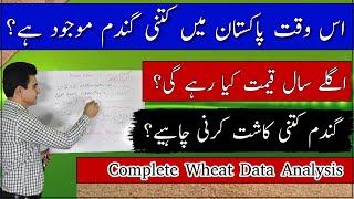 Wheat situation in Pakistan How much wheat should be cultivated اس سال کتنی گندم کاشت کرنی چاہئے؟ [upl. by Nnayd]