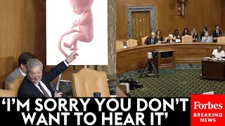 John Kennedy Relentlessly Grills ProChoice Witness Snaps At Sheldon Whitehouse For Cutting Him Off [upl. by Garap]