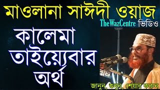 Bangla Waz Delwar Hossain Saidi কালেমা তাইয়েবার অর্থ। [upl. by Anora629]