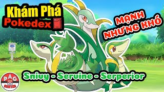 Reup Tìm hiểu về Snivy  Servine  Serperior  Pokemon Khởi Đầu hệ Cỏ của Unova  PAG Center [upl. by Carri]