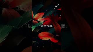 Best Chinese Songs  Best Chinese Music  Chinese Top Songs [upl. by Waal]