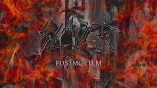 Slayer  Postmortem  Instrumental cover with original vocal track [upl. by Noneek]