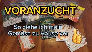 VORANZUCHT ZU HAUSE SO MACHE ICH ES👍 [upl. by Eadrahs]