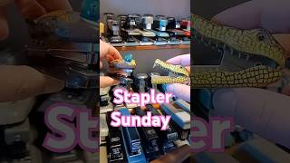 staplersunday stapler [upl. by Vigen]