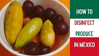 How to Disinfect Produce in Mexico Microdyn Fruit amp Vegetable Wash [upl. by Driskill983]