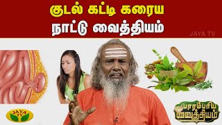 Parambariya Vathiyam  குடல் கட்டி கரைய நாட்டு வைத்தியம்  Dr Rajamanickham  Jaya Tv [upl. by Christina]