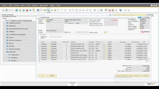 HBT 913110 LEGALIZACIONES SAP BUSINESS ONE [upl. by Ostler]