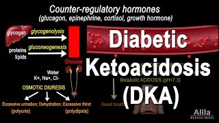 Diabetic Ketoacidosis DKA Pathophysiology Animation [upl. by Ahtanoj]