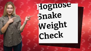 How Much Should My Cute Hognose Snake Weigh [upl. by Darreg]