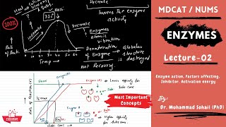 MDCAT  NUMS  Enzymes  Lecture02 [upl. by Waller]