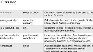 Deutsch  Aspekte  Wortschatz  C1  Kapitel 8 [upl. by Pack]