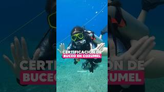 Certificación de Buceo en Cozumel 🇲🇽🙌🏻 Cozumel IslaCozumel CozumelIsla Buceo [upl. by Letsyrc]