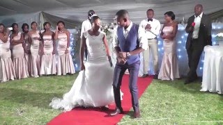 Tinashe amp Tinoes Wedding Highlights [upl. by Cassidy860]