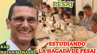 Parasha de Pesaj Estudiando La Hagada de Pesaj rab Natan Menashe [upl. by Acinet]