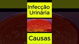 Infecção Urinária Causas em Homem e Mulher shorts shortvideo [upl. by Alage]