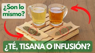 3 Diferencias entre Té y Tisana ¿Son lo mismo que una infusión  Aprende a diferenciarlos [upl. by Fridlund]