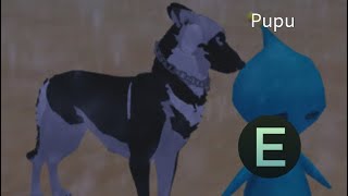 Tutorial on how to find Pupu in Canine Odyssey [upl. by Doherty]