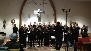 Tage Neuer Kirchenmusik [upl. by Asssilem]