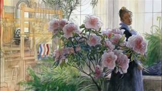 Azalea Carl Larsson [upl. by Dugas385]