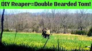 Turkey Hunt with Reaper Double Bearded Tom Down in Kansas [upl. by Aserahs]