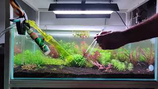 Utricularia Graminifolia replanting 80cm aquarium [upl. by Readus813]