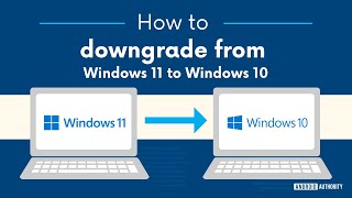 How to downgrade from Windows 11 to Windows 10 [upl. by Ping]