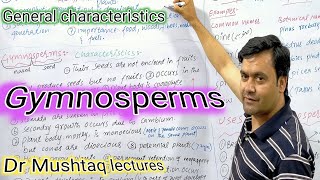 Gymnosperms Characteristics  Dr Mushtaq lectures  Class 11 [upl. by Perkins41]