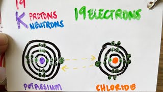 Why do I need to know chemistry for anatomy and physiology [upl. by Titania]