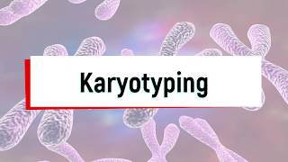 What is Karyotyping Test or Chromosomal Analysis [upl. by Rossuck]