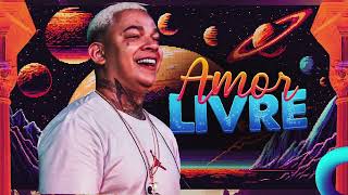 Aldair Playboy  Amor Livre [upl. by Refinej]