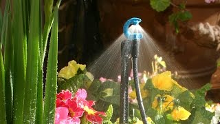 Antelco CFd® Downspray Micro Irrigation Spray Jets [upl. by Adnauqal]